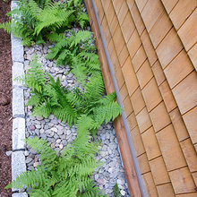 Gardens/landscape