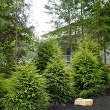 Side Yard