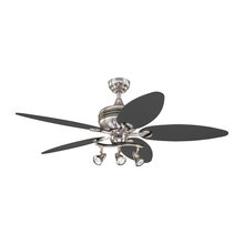 Ceiling fans