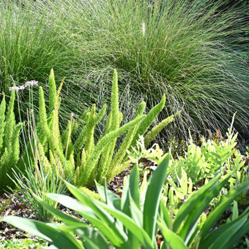 Pollinator Haven