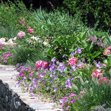 Petite Pool Garden - Westport, CT