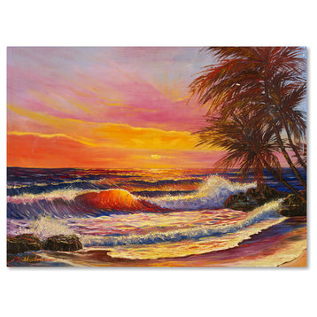 Manor Shadian 'Hawaiian Glow' Canvas Art, 19x14