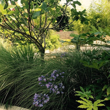 jardins...