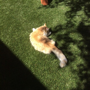 Artificial Sod Done Right