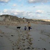 Travis Henson's photo