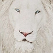 Lee Taylor's photo