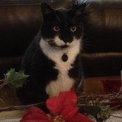 Renee Anctil Gillespie's photo