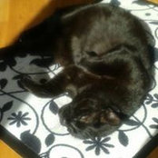 Tanja Ridder's photo