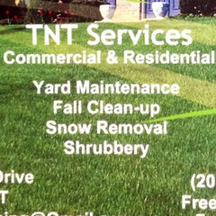 TNT Services