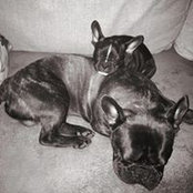 Scott Thompson's photo