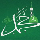 Amr Adel's photo