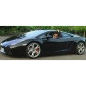 Mercedesz Udvari's photo