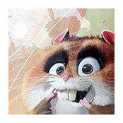 Olga's photo