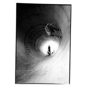 Andrew Curtis's photo