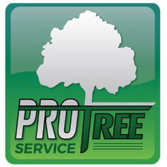 Pro Tree Service