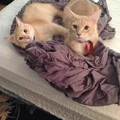 Babette Thompson's photo