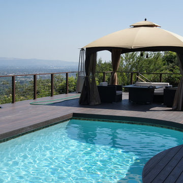 IPE color PVC DECK