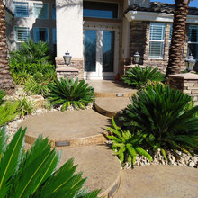 Front yard and entry