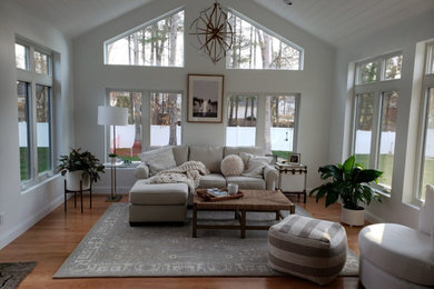 Trendy living room photo in Boston