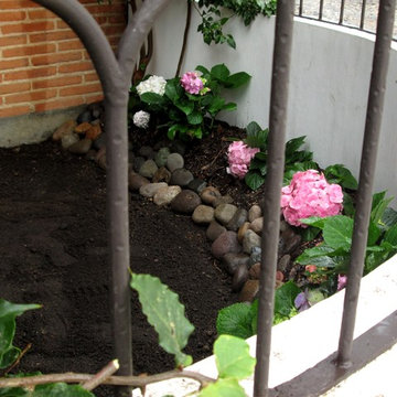 Antigua Guatemala - Gutierrez