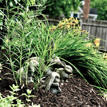 Pollinator Gardens