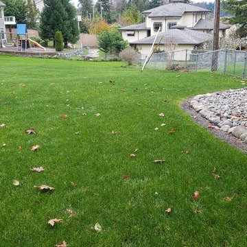 Driveable Grass for Permeable Driveway