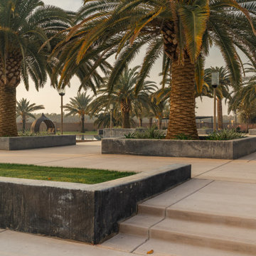 Mid-East Modern