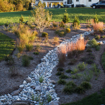 Conservation Meadowscape