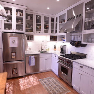 Lincoln Park Kitchen Update