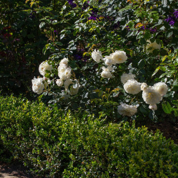 Las Tunas - Montecito, Ca