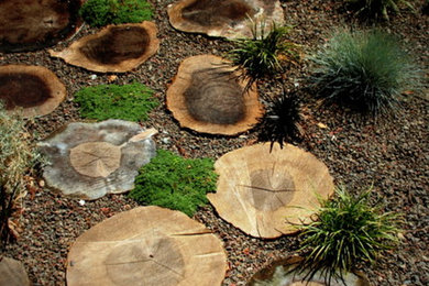 Design ideas for a contemporary landscaping in San Francisco.