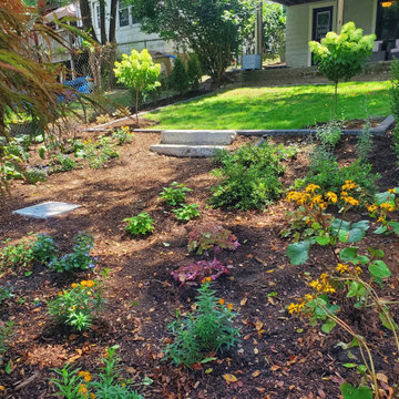 Shady back yard in Jamaica Plain