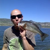 Brad Alexander's photo