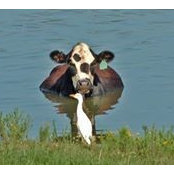 Jill Wilkin's photo