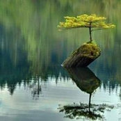 Todd Shattuck's photo
