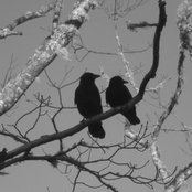 Jenny Edison's photo