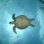 Atturro Zanella's photo