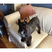 Vivian Malta's photo