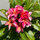 webuser_532005678