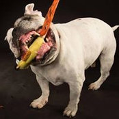 Javier Andrade's photo