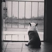 Ariel Liu's photo