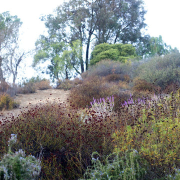 Malibu Ranch