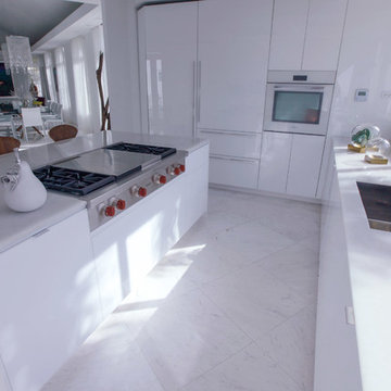Modern Miami Glass Kitchen