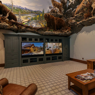 Home Media Rooms