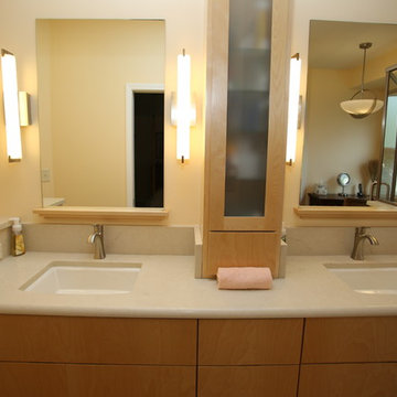 Modern Contemporary Bathroom Remodel in Bloomingdale, IL