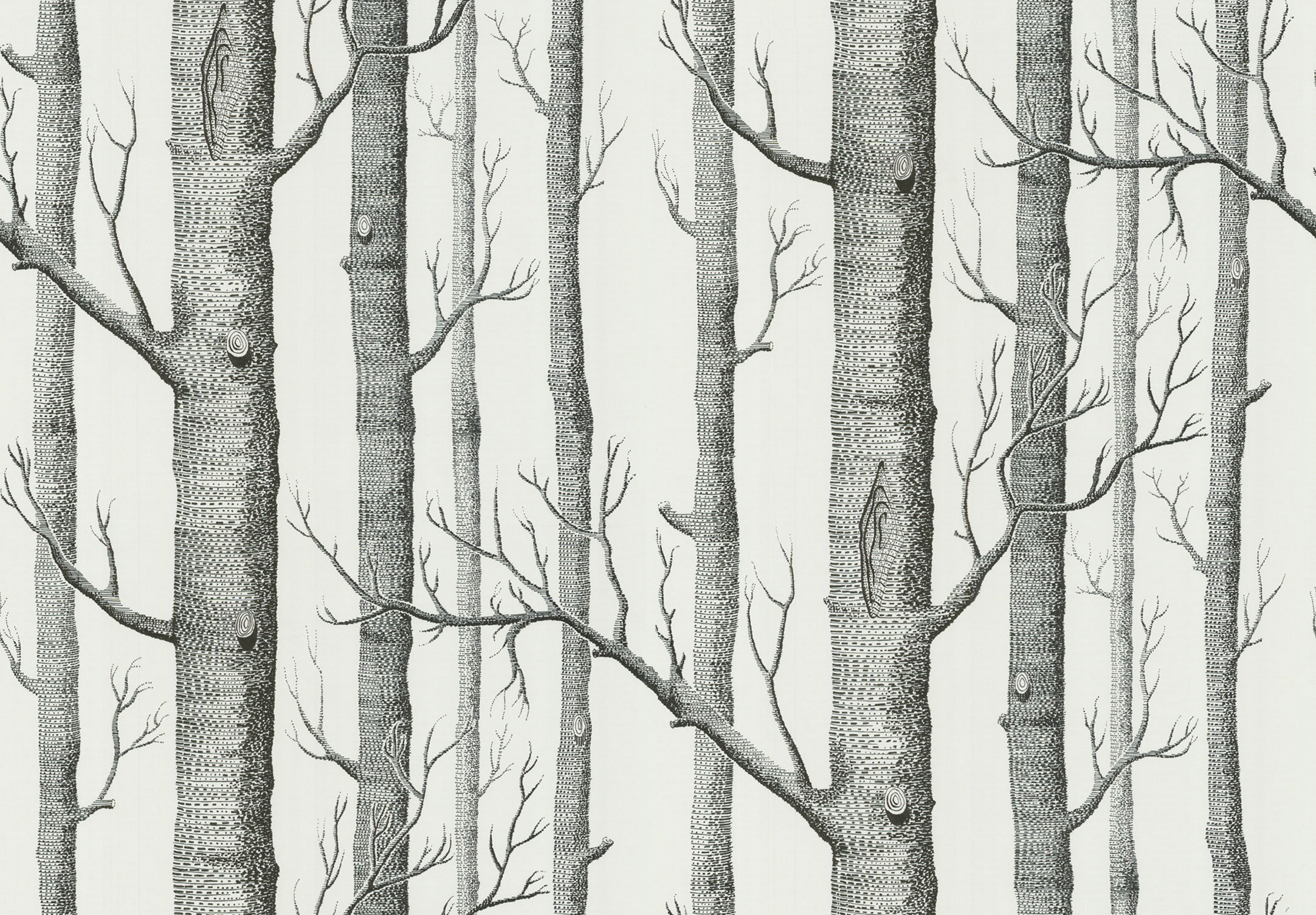 Woods Wallpaper