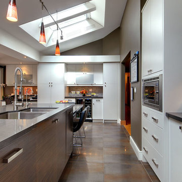 Ultra Modern Kitchen