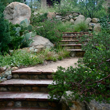 Low Water Native Landscapes