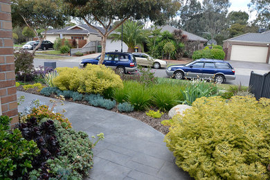 Design ideas for a mid-sized contemporary front yard full sun xeriscape for spring in Melbourne with concrete pavers.
