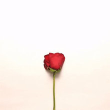 variado